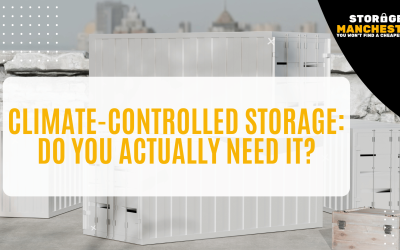 Climate-Controlled Storage: Do You Actually Need It?